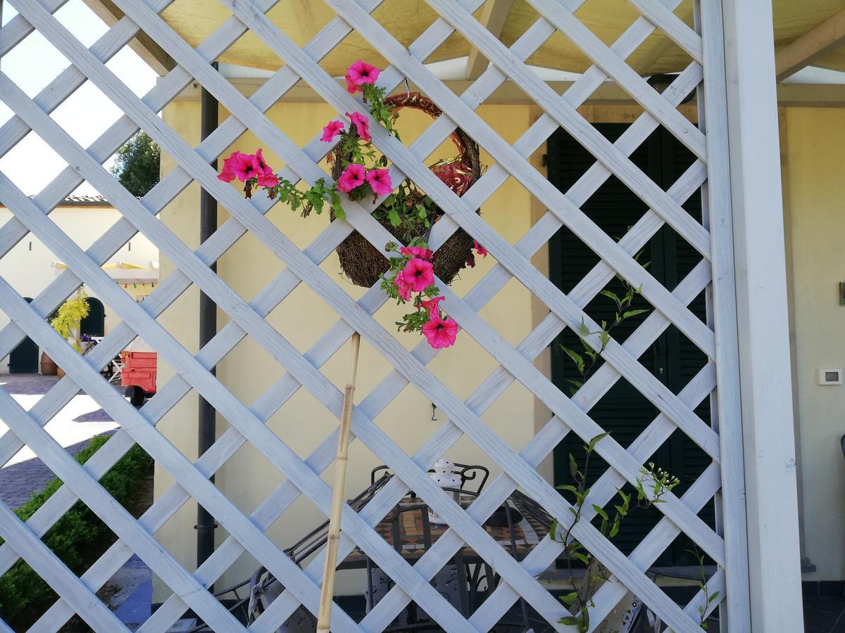 B&B Canneto Monteverdi Marittimo Exterior foto